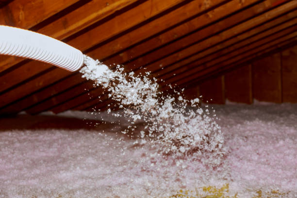 Best Types of Insulation in Cecil Bishop, PA