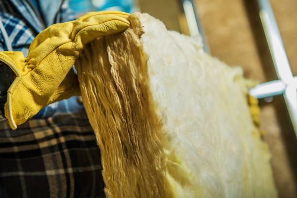 Best Insulation Maintenance and Repair in Cecil Bishop, PA
